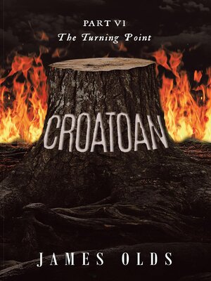 cover image of The Turning Point